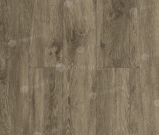 SPC ламинат ГРАНД СЕКВОЙЯ ВЕНГЕ ГРЕЙ ECO 11-8