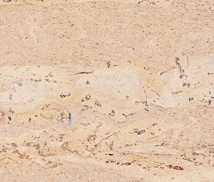 Пробковый пол Comprido Creme в магазине напольных покрытий «Стильный пол»