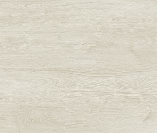 D1822 Дуб Ануари