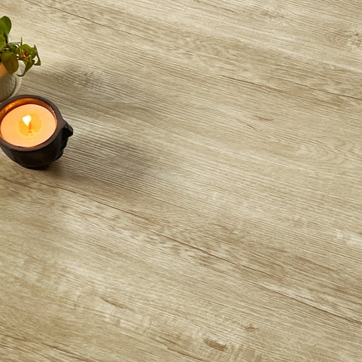 Q-10 Дуб Челси