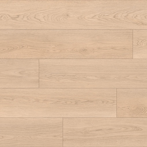 717 Дуб Марко