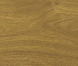 Пробковый пол Oak knotty в магазине напольных покрытий «Стильный пол»