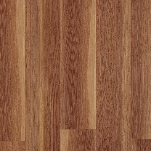 Classic Glue AF5504 Glue