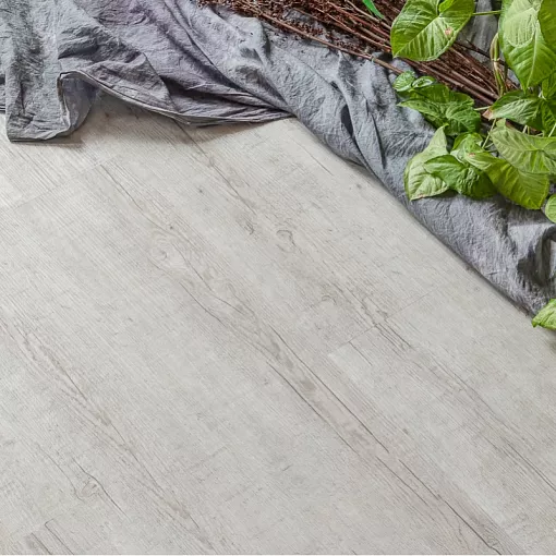 8591 Дуб Форст