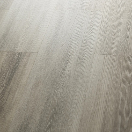 Q-13 Дуб Квинс