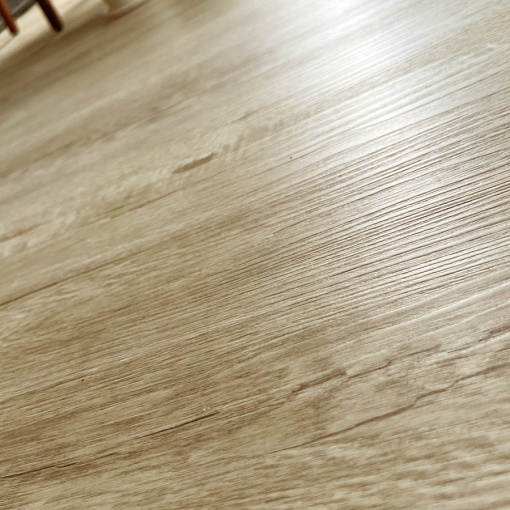 Q-10 Дуб Челси