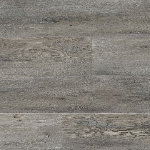 MV06 Дуб Одерон