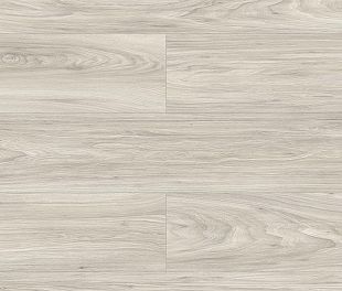 D3710 Kronopol Platinium Testa Ламинат "Вяз Барух"