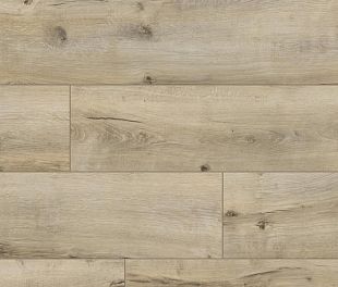 Ламинат Classen Harmony Forte WR Дуб Трудент 56613