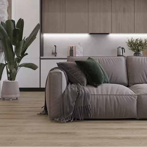 8857 Дуб Кассель