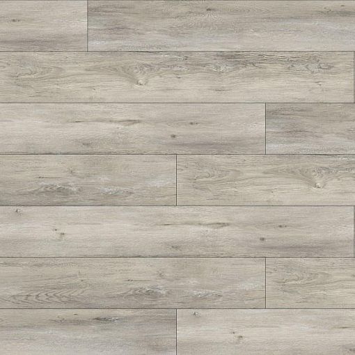 MV05 Дуб Риневар