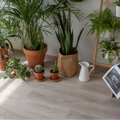 20468 Дуб Ален